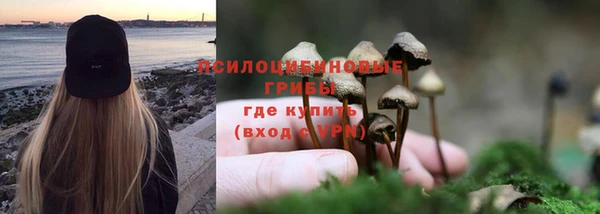 дурь Алексеевка