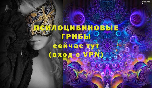 не бодяженный Алексин
