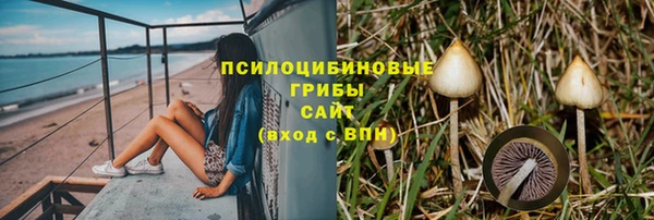 дурь Алексеевка