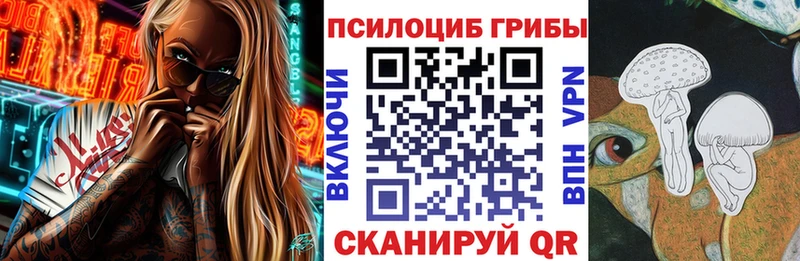 Галлюциногенные грибы прущие грибы  где найти   Сураж 